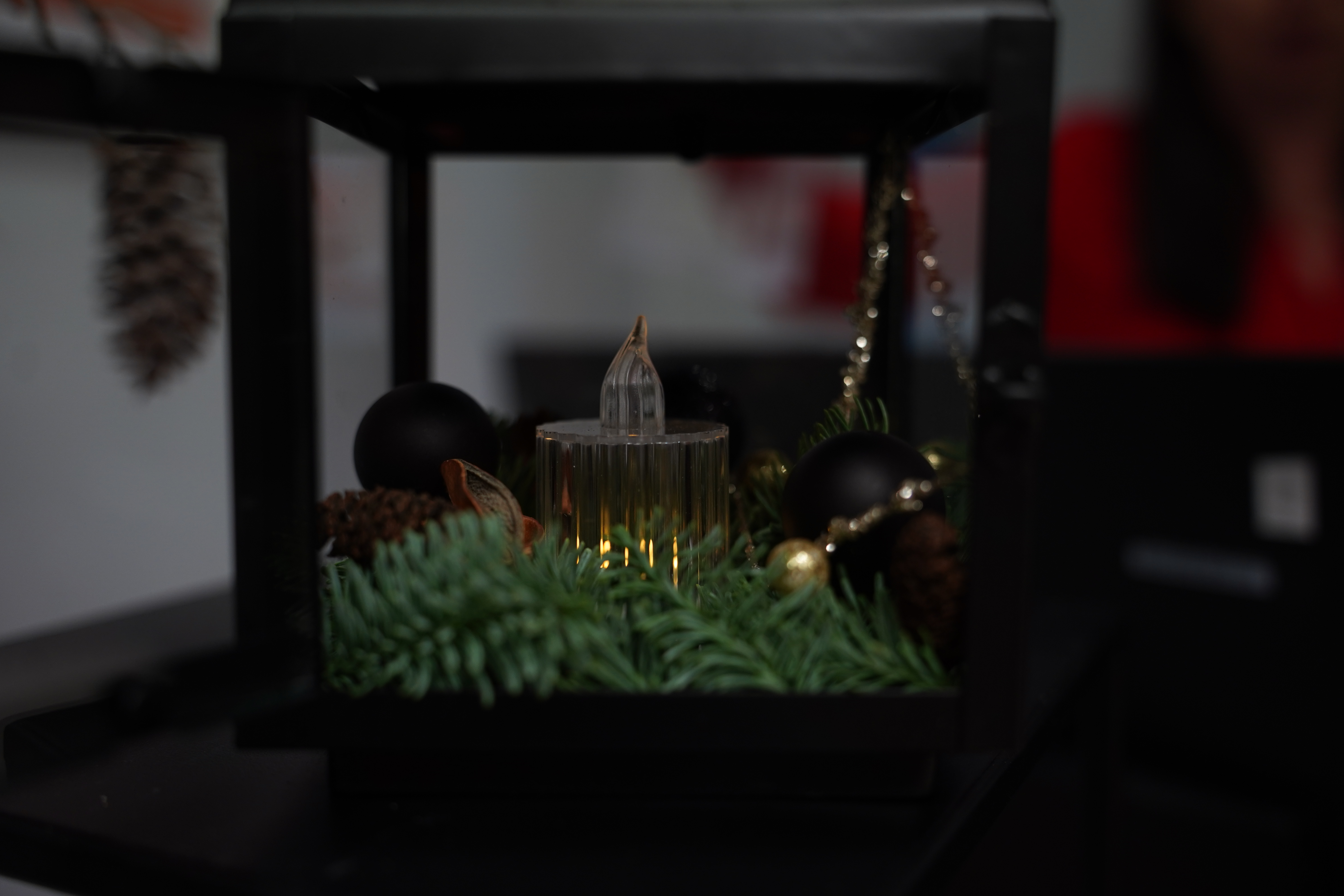 DSC01405.JPG